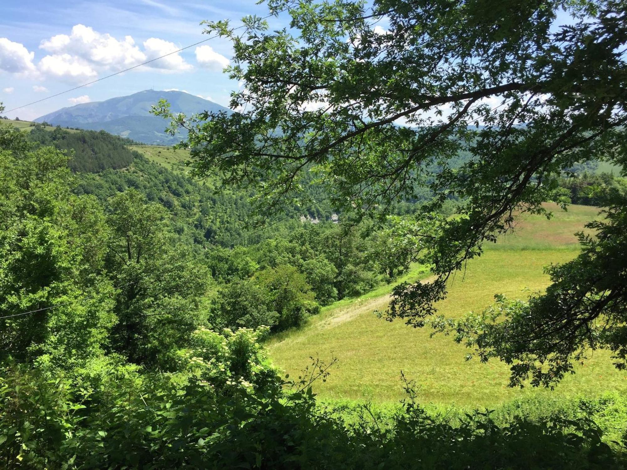 Farmhouse In Apecchio With Swimming Pool Terrace Gardenヴィラ エクステリア 写真